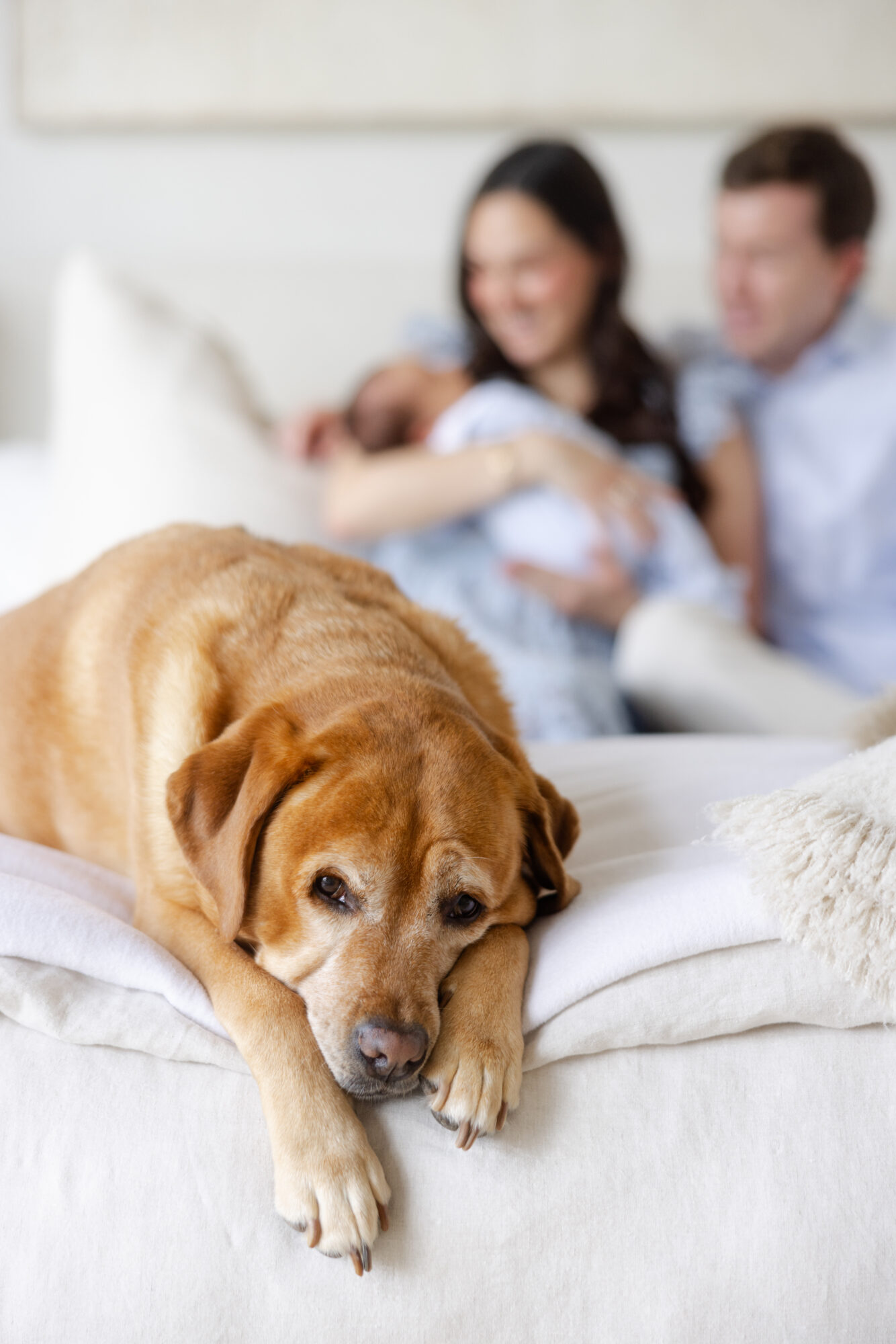 Family relaxing on the bed with their newborn baby and pup during an in home Houston newborn session.